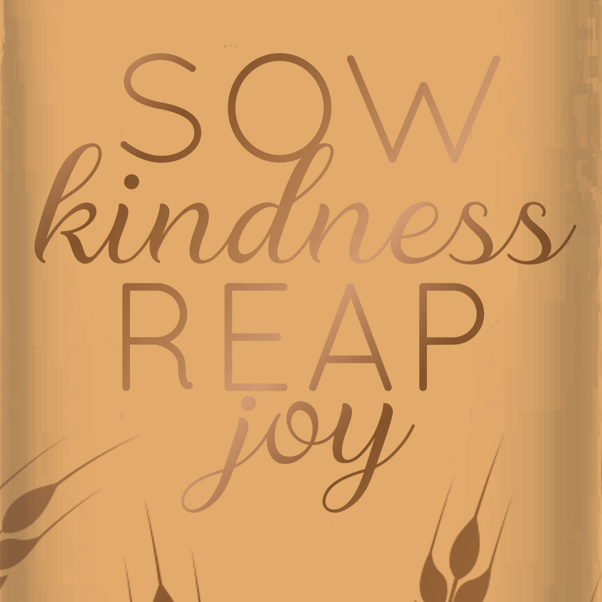 Kerusso 30 oz Stainless Steel Mug With Straw Sow Kindness